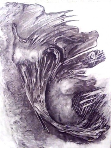 Dessin intitulée ""La bêbête à vénus.…" par Jocelyne Ropert, Œuvre d'art originale