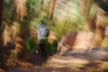 摄影 标题为“Man on donkey in a…” 由Rosa Frei, 原创艺术品, 数码摄影