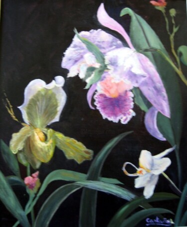 Pintura intitulada "Orquídeas 2" por Rosa Maria Castaño, Obras de arte originais