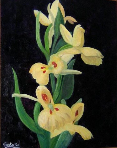 Peinture intitulée "Orquídea amarilla" par Rosa Maria Castaño, Œuvre d'art originale