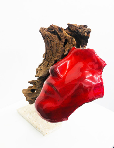 Sculptuur getiteld "Spirito rosso" door Rosa-Terra By Rosanna, Origineel Kunstwerk, Mixed Media