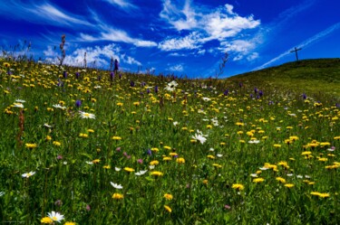 Photographie intitulée "Champ fleuri" par Rosalina Vaz, Œuvre d'art originale, Photographie numérique