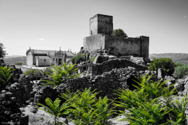 Fotografía titulada "Château" por Rosalina Vaz, Obra de arte original, Fotografía digital