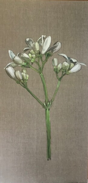 Картина под названием "Galium odoratum" - Rosa Mujal Closa, Подлинное произведение искусства, Масло Установлен на Деревянная…