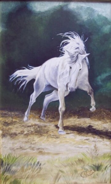 Pittura intitolato "Caballo blanco B1" da Rosario De Mattos, Opera d'arte originale, Olio