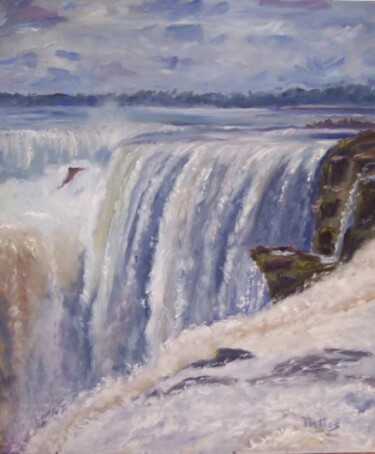 Malerei mit dem Titel "Cataratas del Iguaz…" von Rosario De Mattos, Original-Kunstwerk, Öl