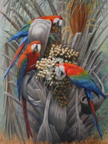 Painting titled "Araras vermelhas" by Rose Fernandes, Original Artwork, Oil