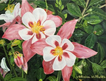 Peinture intitulée "Fleurs d'Ancolies" par Roseline Pederencino Et Olivier Villella, Œuvre d'art originale, Huile