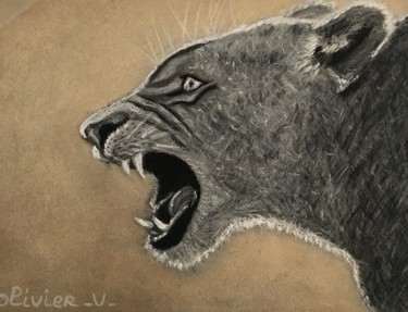 Dessin intitulée "Lionne" par Roseline Pederencino Et Olivier Villella, Œuvre d'art originale, Crayon