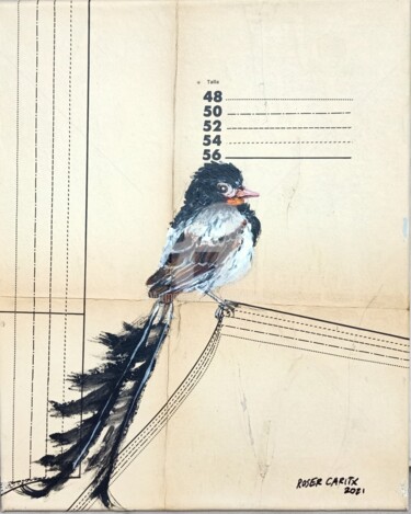Painting titled "ocell cua llarga/Lo…" by Roser Caritx Vilaseca, Original Artwork, Acrylic