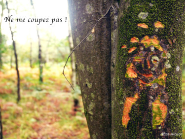 Photography titled "Ne me coupez pas!" by Rosie Jacquot, Original Artwork, Non Manipulated Photography