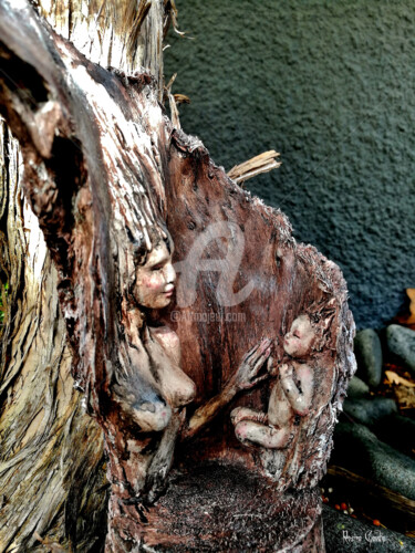 Escultura intitulada "Mother nature" por Rosina Gaudio, Obras de arte originais, Madeira