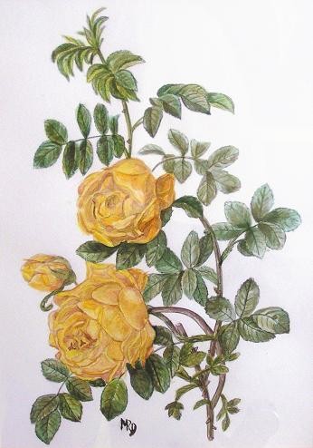 Peinture intitulée "Roses d'après Redou…" par Michèle Rossetto, Œuvre d'art originale