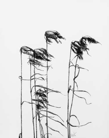 Drawing titled "Wind of reed" by Rostislaw Tsarenko, Original Artwork, Ink