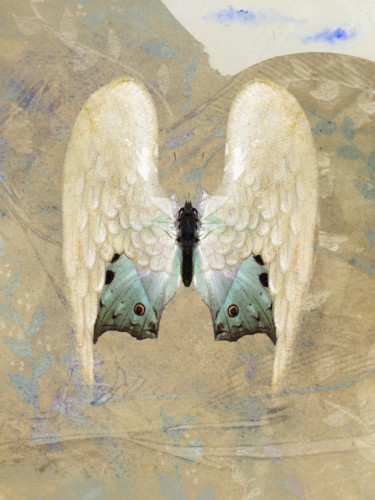 Digitale Kunst mit dem Titel "Angel Wings 1" von Roxana Ferllini, Original-Kunstwerk, Fotomontage