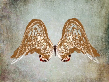 Digital Arts titled "Angel Wings 4" by Roxana Ferllini, Original Artwork, Photo Montage