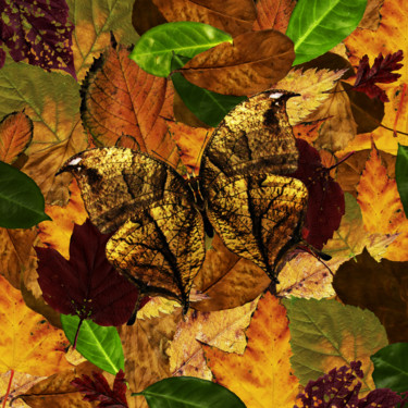 Digitale Kunst getiteld "Leaf Butterfly" door Roxana Ferllini, Origineel Kunstwerk, 2D Digital Work