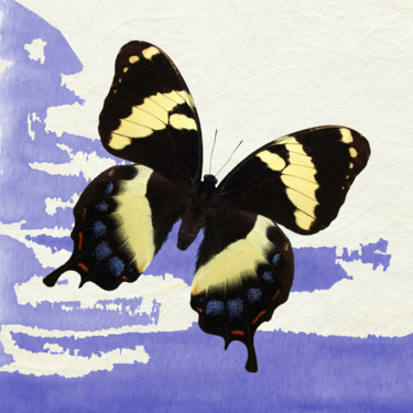 Arte digital titulada "Papilio" por Roxana Ferllini, Obra de arte original, Foto-montaje