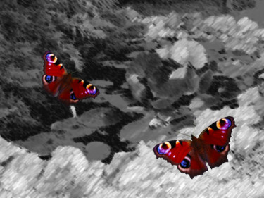 Фотография под названием "Peacocks Over Pond" - Roxana Ferllini, Подлинное произведение искусства, Фотомонтаж
