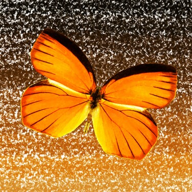 Цифровое искусство под названием "Orange Gem" - Roxana Ferllini, Подлинное произведение искусства, Фотомонтаж