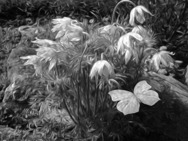 Fotografia zatytułowany „Spring Garden 2” autorstwa Roxana Ferllini, Oryginalna praca, Manipulowana fotografia