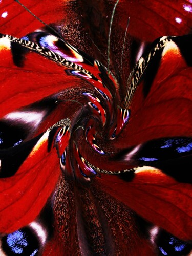Цифровое искусство под названием "Peacock In The Mix" - Roxana Ferllini, Подлинное произведение искусства, Манипулированная…