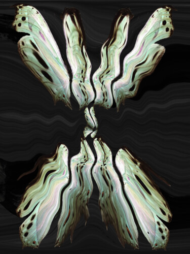 Arts numériques intitulée "Reflections" par Roxana Ferllini, Œuvre d'art originale, Travail numérique 2D