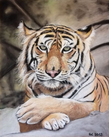 Tekening getiteld "Le tigre" door Roxane Le Tétour, Origineel Kunstwerk, Pastel