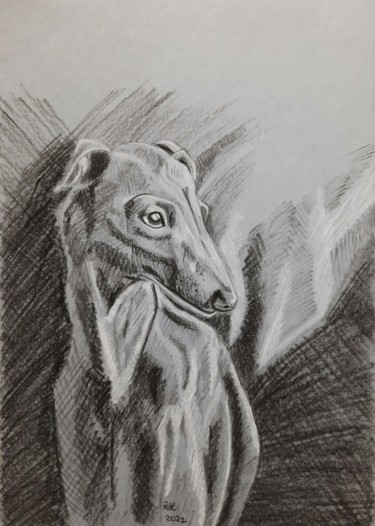 Drawing titled "Le lévrier" by Roxane Le Tétour, Original Artwork, Charcoal