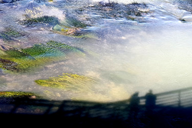 Photographie intitulée "Reflet toulousain" par Patrick Roze, Œuvre d'art originale, Photographie numérique