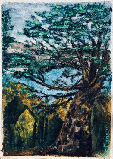 Peinture intitulée "Old tree collection…" par Marina Deryagina, Œuvre d'art originale, Huile