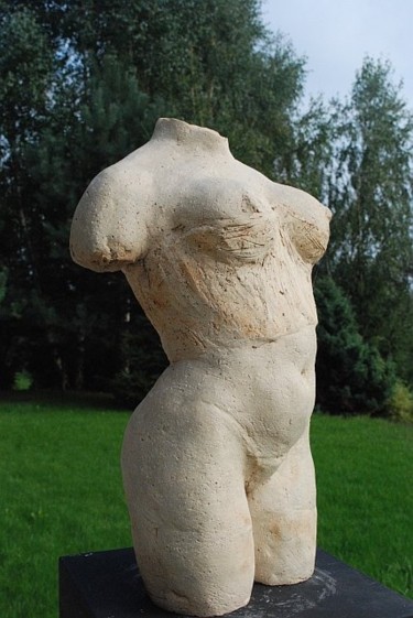 Escultura titulada "tors3-ceramika-2.JPG" por Ryszard Piotrowski, Obra de arte original, Terracota