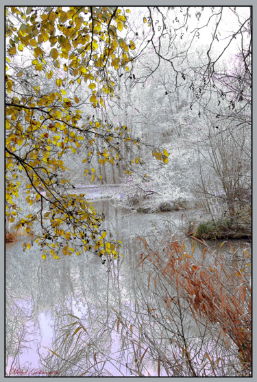Photographie intitulée "Eclat d' hiver" par Michel Guillaumeau, Œuvre d'art originale, Photographie numérique