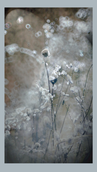 Photographie intitulée "Ballerines de neige" par Michel Guillaumeau, Œuvre d'art originale, Photographie numérique