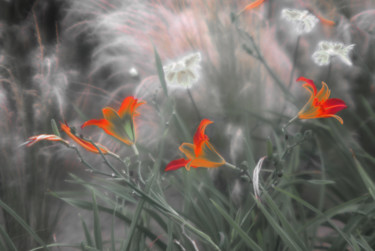 Fotografie getiteld "Les fleurs de l' ame" door Michel Guillaumeau, Origineel Kunstwerk, Digitale fotografie