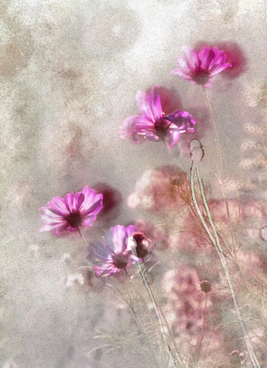 Photographie intitulée "Fleurs evanessantes" par Michel Guillaumeau, Œuvre d'art originale, Photographie numérique