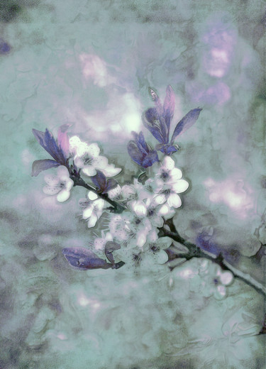 Photographie intitulée "Cerisier en fleurs…" par Michel Guillaumeau, Œuvre d'art originale, Photographie numérique