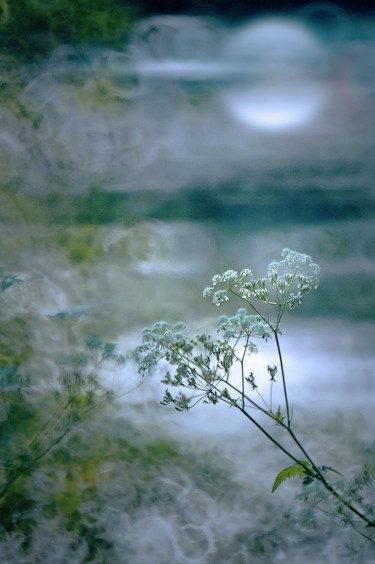 Fotografía titulada "Reflet de lune" por Michel Guillaumeau, Obra de arte original, Fotografía digital