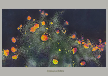 Photographie intitulée "1-guirlande-celeste" par Michel Guillaumeau, Œuvre d'art originale, Photographie numérique