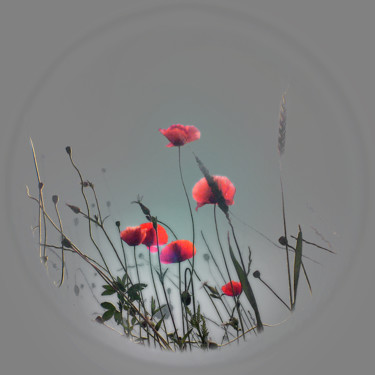 Фотография под названием "L'aube des fleurs" - Michel Guillaumeau, Подлинное произведение искусства, Цифровая фотография