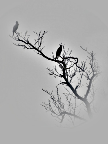 "Rencontre au sommet" başlıklı Fotoğraf Michel Guillaumeau tarafından, Orijinal sanat, Fotoşoplu fotoğrafçılık