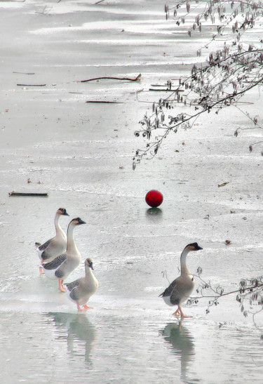 Photographie intitulée "Le ballon rouge" par Michel Guillaumeau, Œuvre d'art originale, Photographie numérique