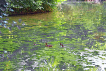 Fotografia zatytułowany „Promenade printanié…” autorstwa Michel Guillaumeau, Oryginalna praca, Fotografia cyfrowa