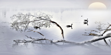 Fotografia zatytułowany „Eveil matinal” autorstwa Michel Guillaumeau, Oryginalna praca, Fotografia cyfrowa