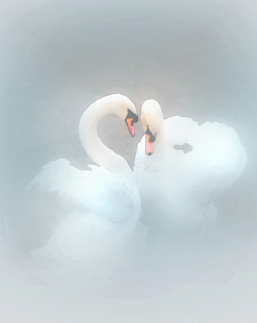 Coeur Photographie intitulée "Coeur" par Michel Guillaumeau, Œuvre d'art originale, Photographie numérique