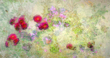 Photographie intitulée "Fleurs célestes" par Michel Guillaumeau, Œuvre d'art originale, Photographie numérique