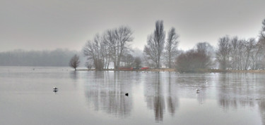 Fotografía titulada "Paysage d'hiver" por Michel Guillaumeau, Obra de arte original, Fotografía digital