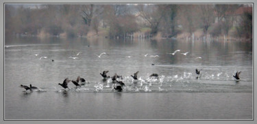 Photography titled "La marche sur l'eau" by Michel Guillaumeau, Original Artwork, Digital Photography