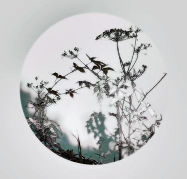 摄影 标题为“Ombre chinoise” 由Michel Guillaumeau, 原创艺术品, 数码摄影