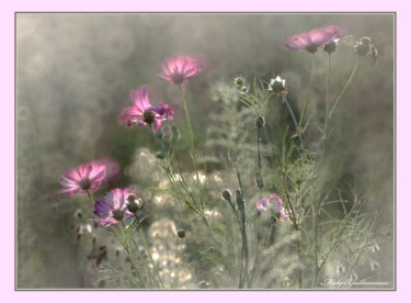摄影 标题为“Fleurs des champs” 由Michel Guillaumeau, 原创艺术品, 数码摄影